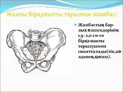 Қызбен жыныстық қатынас