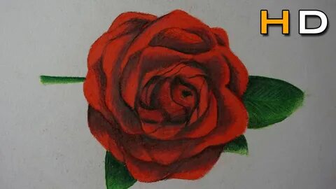 How to rose