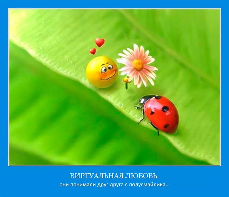 Я позитивом заражен. Я позитивом заражен