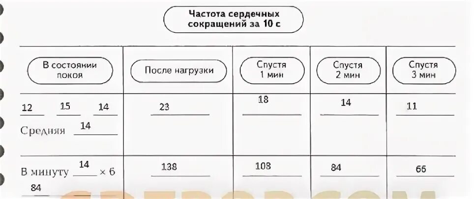 Работа функциональная сердечно сосудистая проба