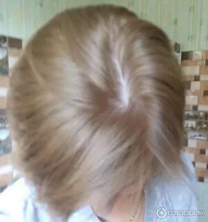 Garnier 8.0