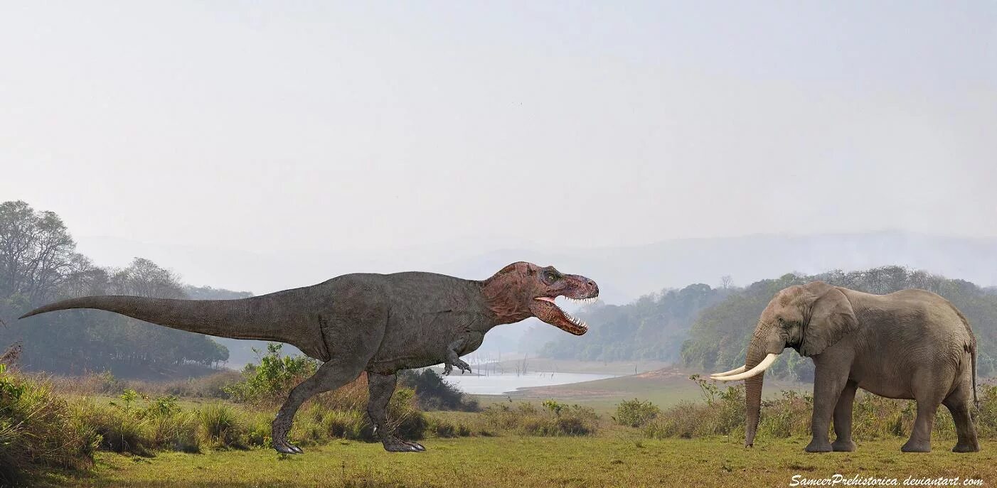 Какой динозавр сильнее. Доисторический парк Тираннозавр рекс. Самый большой динозавр в мире хищник. Эласмотерий, титанозавр.