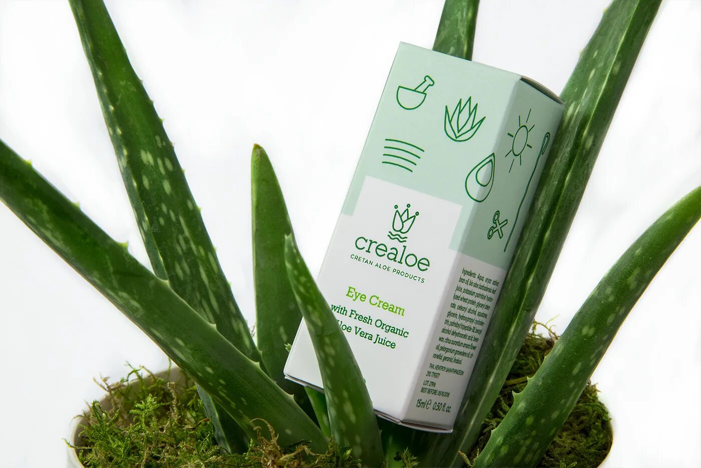 Алоэ 2 мл. Алоэ вера и столетник. алоэ вера d12 tim. косметика aloe vera. грин сид алоэ вера.