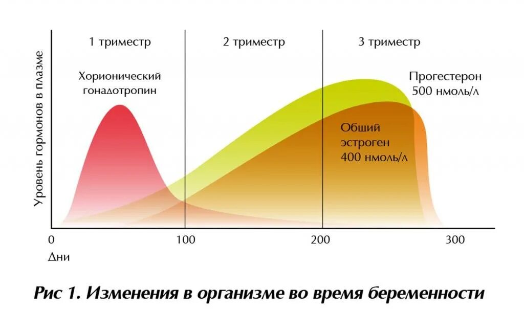 Как меняется цикл у женщин