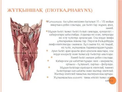 Порно актриса Мэри Хадсонның суреттері