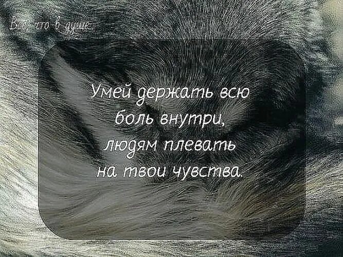 Не было ни одного родного человека. Статусы про боль в душе. Статусы про боль. Цитаты про боль в душе. Цитаты про боль.