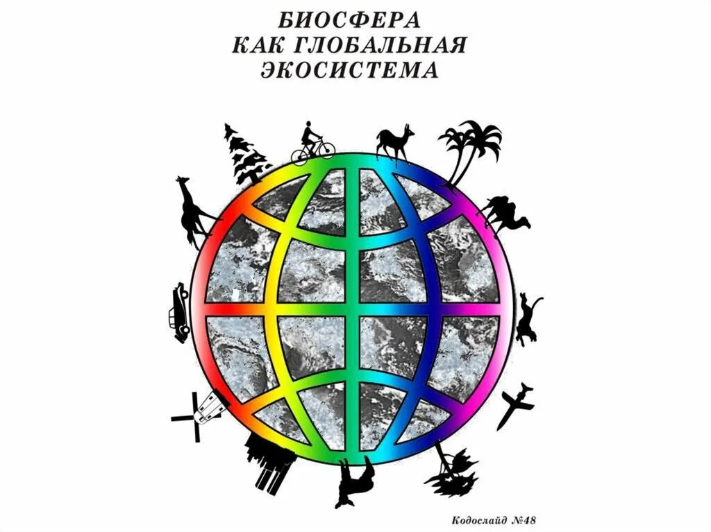 Биосфера как экосистема является. Биосфера глобальная экосистема. биосфера глобальная экосистема схема. презентация биосфера глобальная экосистема. особенности биосферы как глобальной экосистемы земли.
