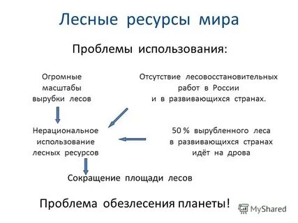 Основные меры по рациональному использованию лесных ресурсов