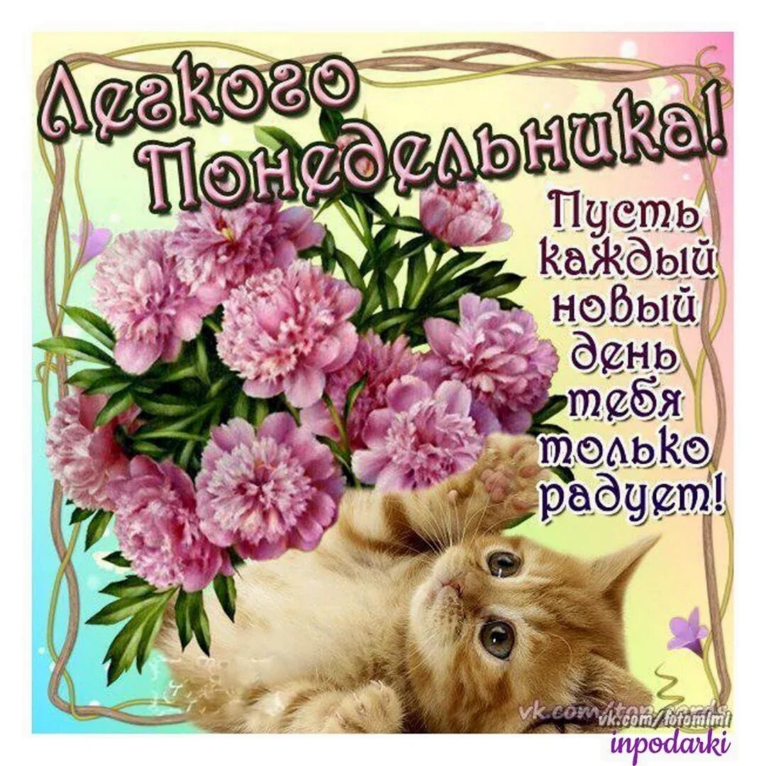 Никак поздравление. Поздравление с понедельником. открытки с понедельником. открытки с понедельником прикольные. красивое поздравление с понедельником.