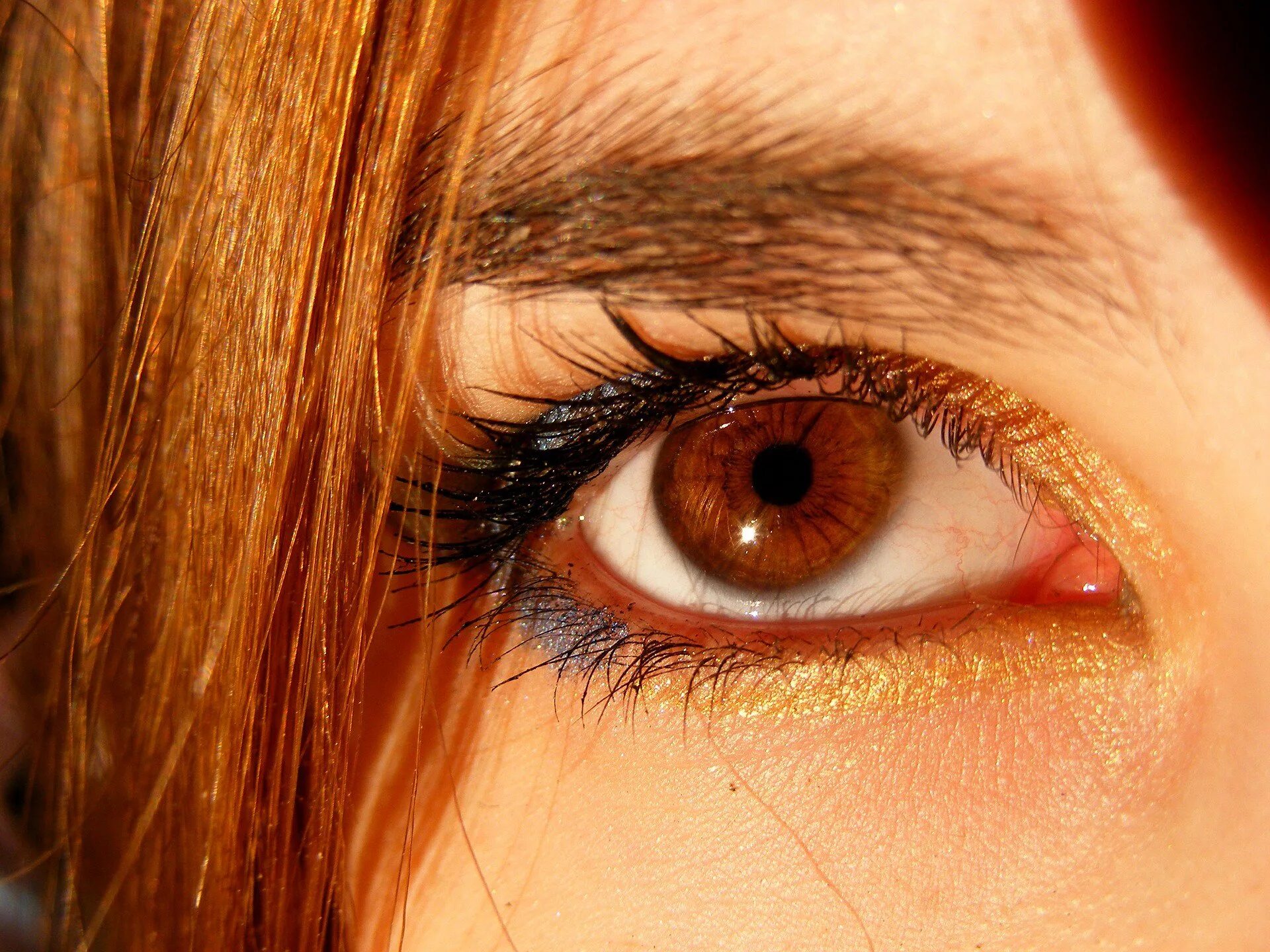 Желтый свет в глазах. Карие глаза. Яркие янтарные глаза. Коричневые глаза. Карий цвет глаз.