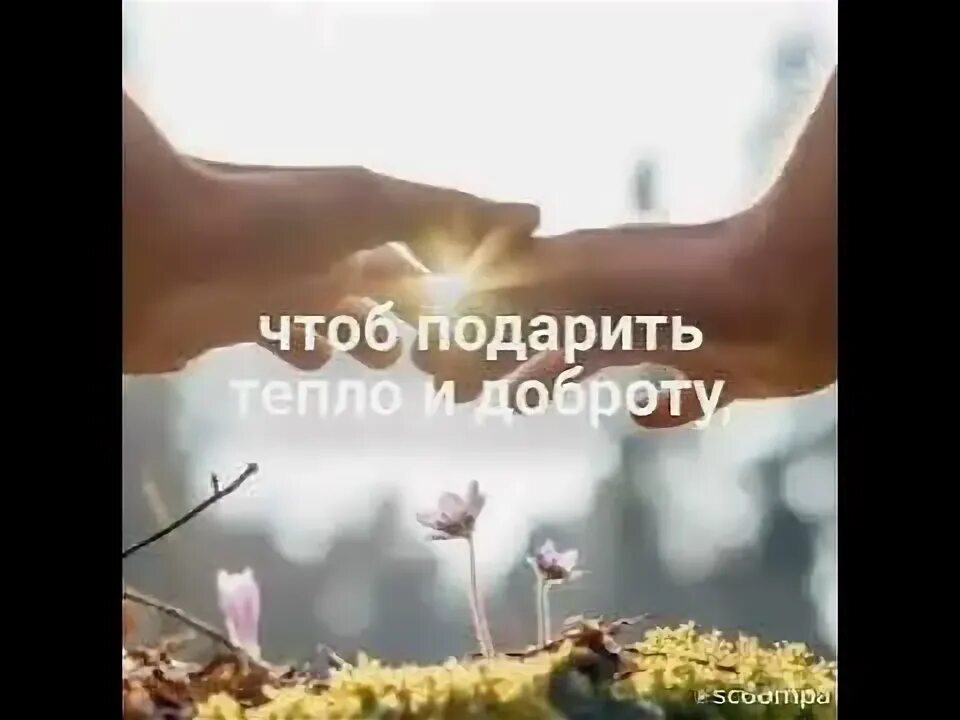 Песни подари доброту. Доброта друг другу. Песни подари доброту. Песня твори добро текст. Дари добро слова.