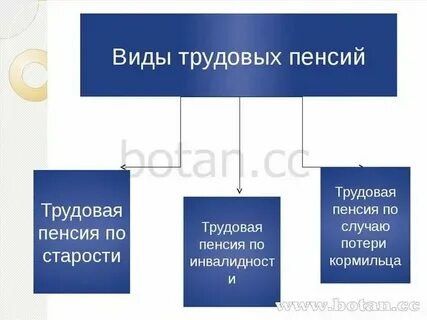 Виды пенсий осужденных
