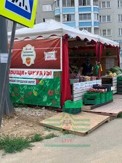Клубника 2024 москва