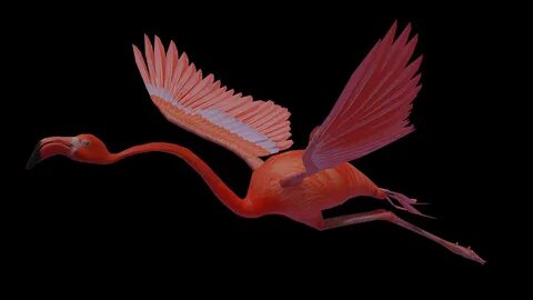 Flying 3d