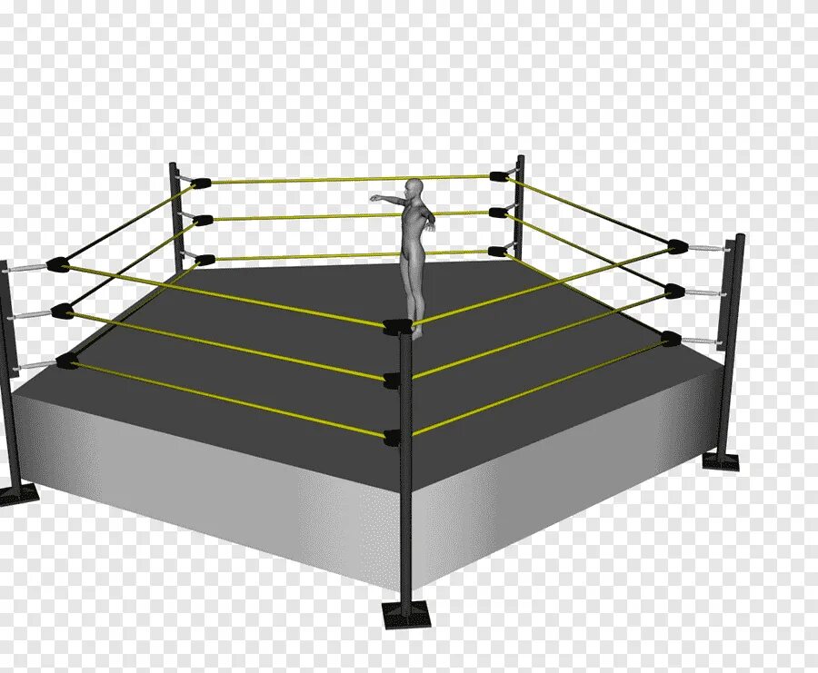 Wrestling ring
