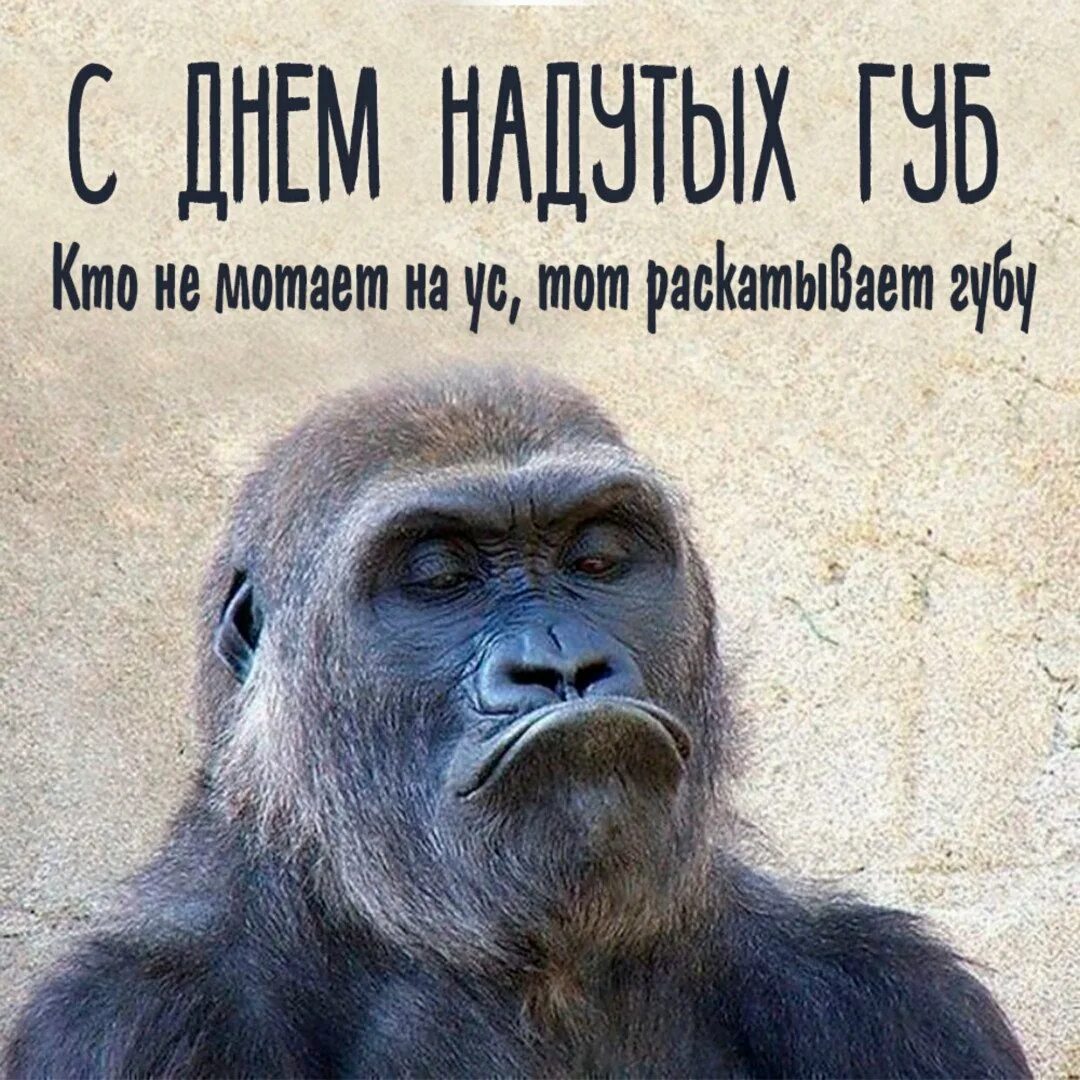 Для мужчин суть работы
