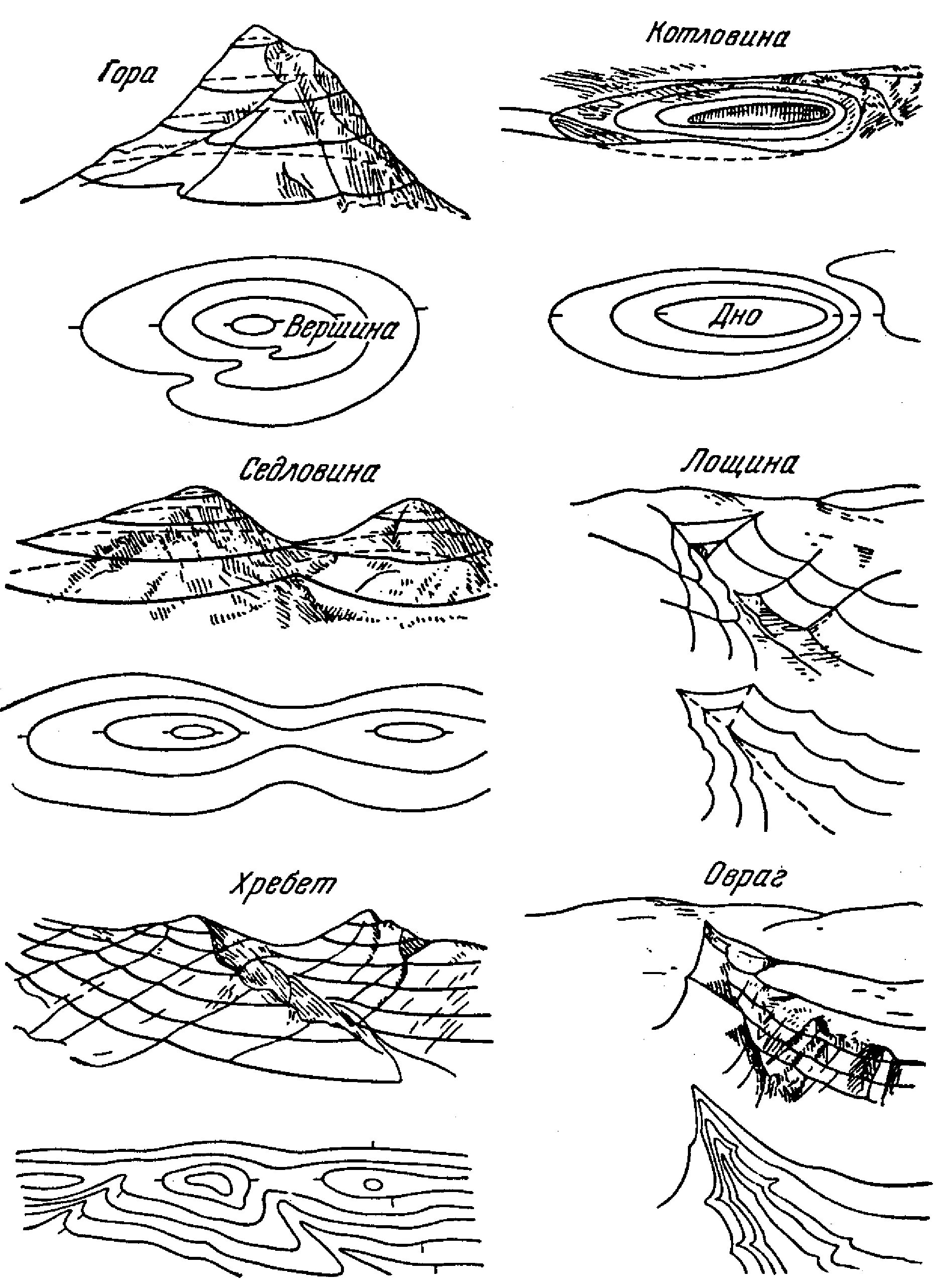 По рисунку определите тип рельефа. Формы рельефа гора котловина хребет Лощина седловина. Формы рельефа гора котловина Лощина. Основные формы рельефа на топографической карте. Котловина седловина Лощина.