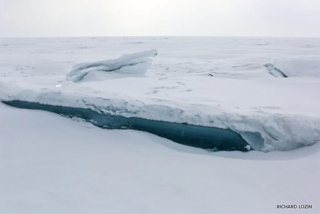 Байкал подо льдом. Байкал подо льдом. Байкал зимой подо льдом. Озеро байкал лед. Вода в байкале подо льдом.
