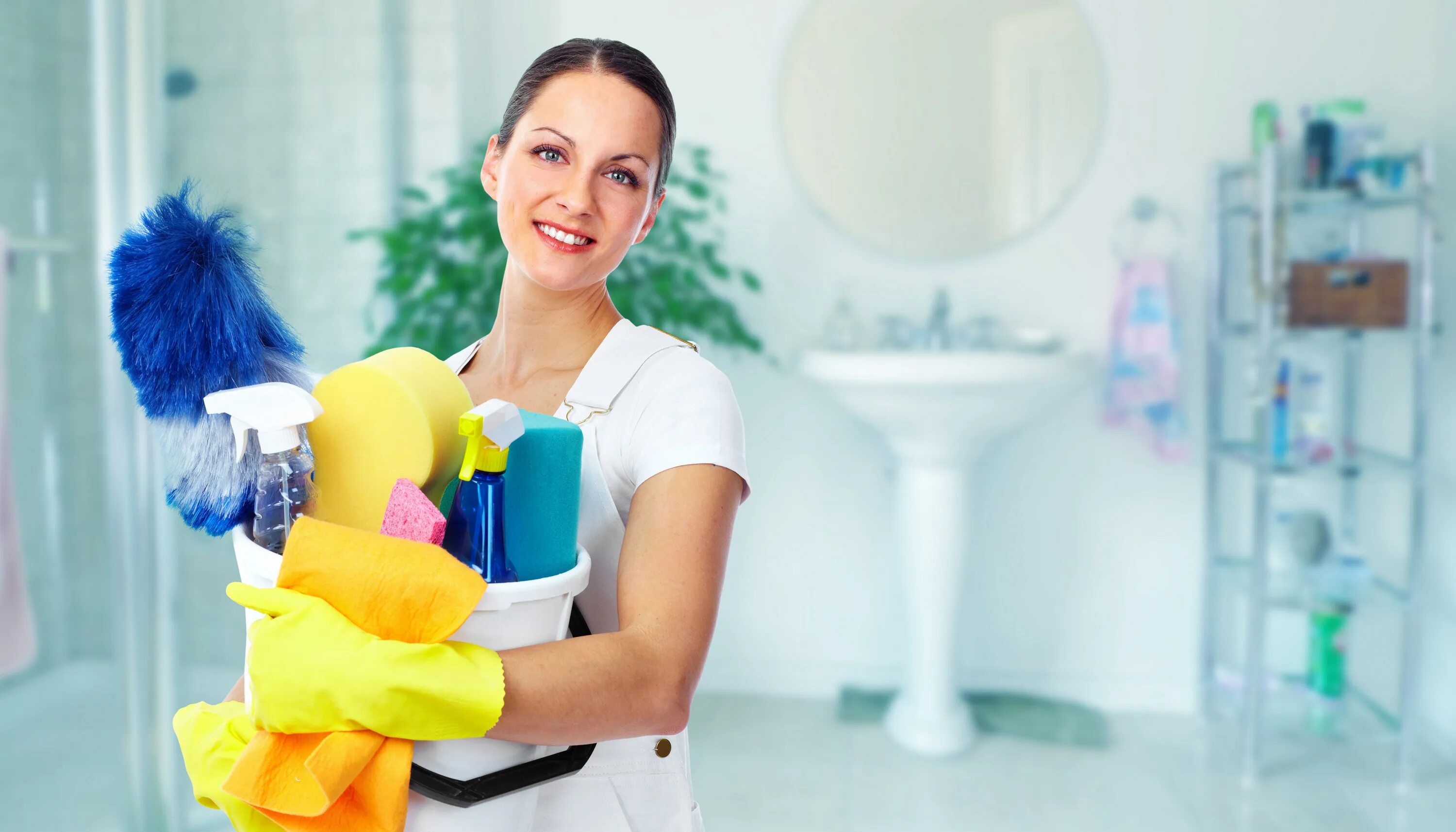 Cleaning maid. Клин Хаус клининговая компания. Девушка с бытовой химией. Уборка помещений. Профессиональная уборка квартиры.