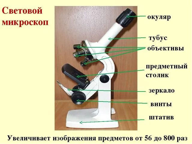 Проверочная работа микроскоп. Биологический световой микроскоп строение. строение микроскопа микроскоп световой микроскопа. световой микроскоп 5 класс биология. строение светового микроскопа 5 класс биология.