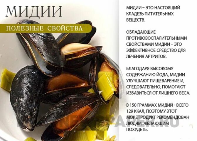 Мидии польза для мужчин. Полезные витамины в мидиях. мидии полезные свойства. мидии полезные свойства для организма. полезны ли мидии.