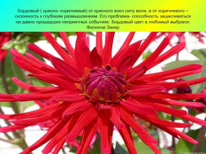 Аниме девушка в красном. Иконки способностей. Красный способность. Арт в красных тонах. Красная энергия.