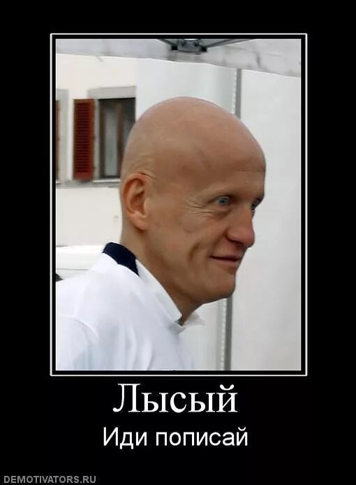 день лысины. лысина открытка. день лысого человека. мемы про лысину. пробовать я конечно не буду.