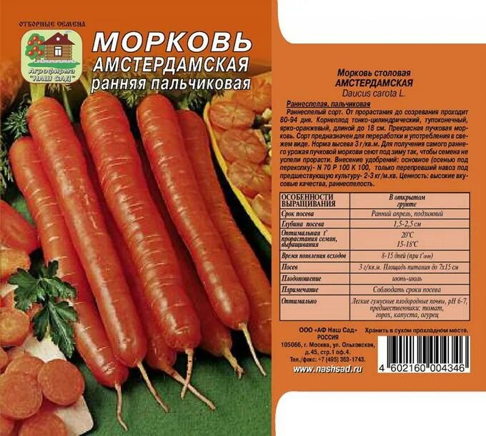 Семена Морковь Амстердамская 1г купить в Белгороде: цена, характеристика и фото 