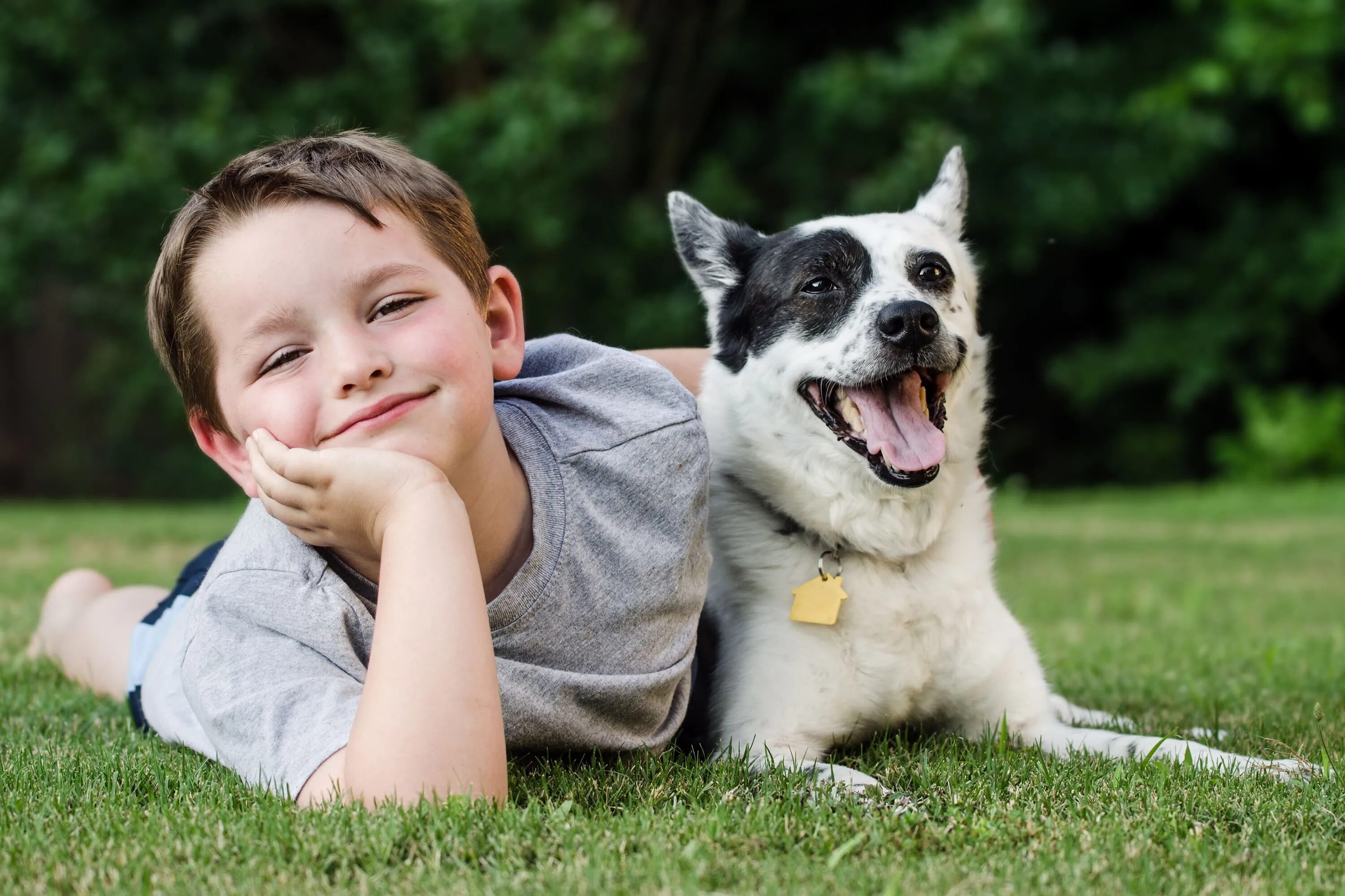 My pet dog has a. Мальчик с собакой. Дети с животными. Собака друг человека. Собака для детей.