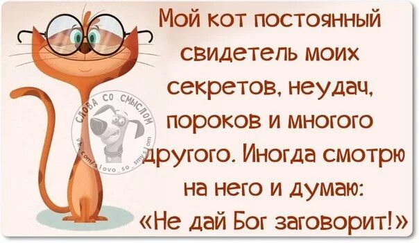 Смешные прикольные выражения. Прикольные высказывания в картинках. смешные высказывания в картинках. веселые цитаты. смешные цитаты в картинках.