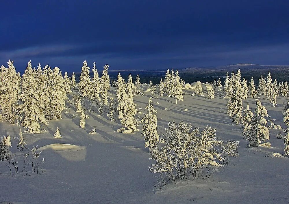 Тундра Норильск природа. Тундра Норильск зима. Зимняя тундра Таймыра. Норильск тундра снег.