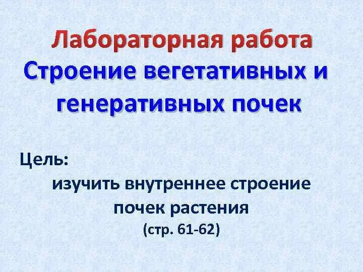 Лабораторная работа строение почки 6 класс. Строение вегетативной почки растения.