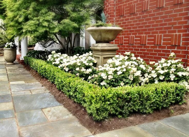 plant blueberry bushes with gravel pathways Garden nursery, Gravel garden, White