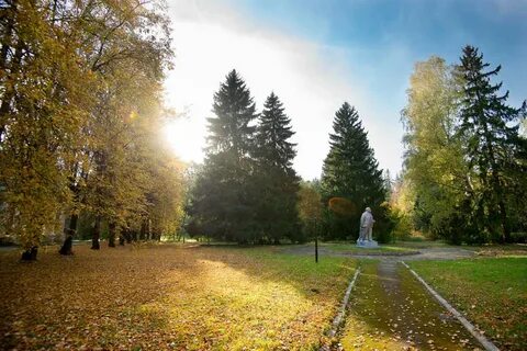 Пансионат солнечногорск московская область