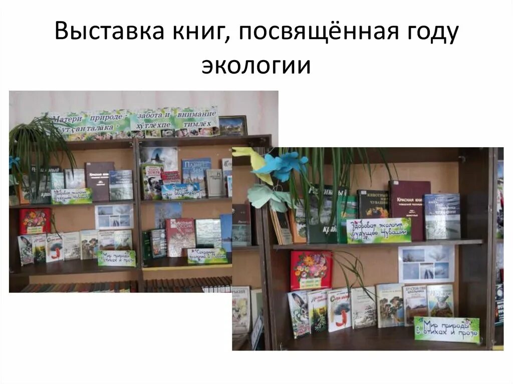 Отчет по книжной выставке. Краеведческая книжная выставка в библиотеке. Отчет по книжной выставке. Отчет по книжной выставке. Идеи для книжных выставок.