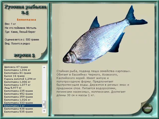 Рыба в реке медведица тверская область. Стерлядь в волге. Какая рыба водится в медведице. Рыбалка в твери на волге. Река медведица рыбалка.