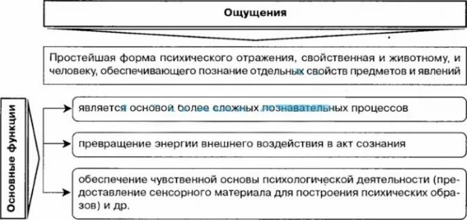 Функции ощущений. Функции ощущений в психологии. Психологический процесс ощущение функции. Закономерности ощущения и восприятия в психологии. 15 ощущается