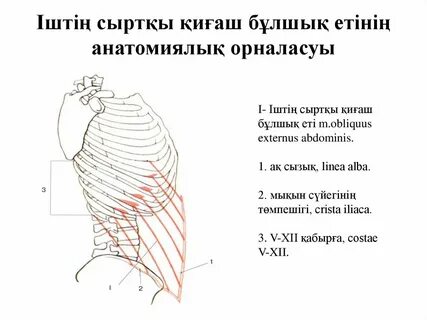 Әзірбайжандық анальный секс