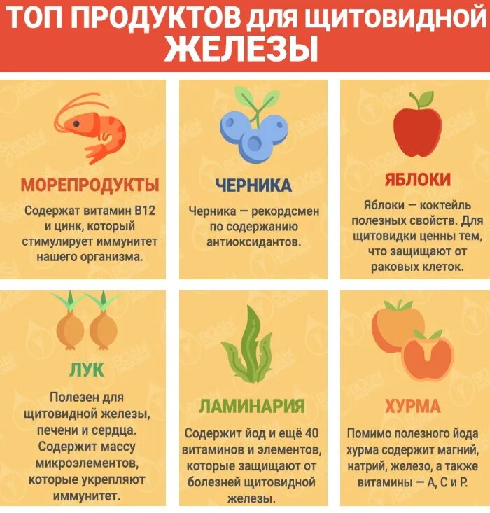 Полезные продукты при гипотиреозе. Полезные продукты для щитовидки. Продукты для щитовидной железы гипотиреоз.