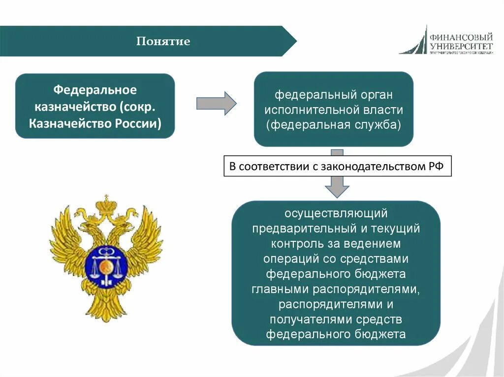 Задачи органов федерального казначейства. Федеральное казначейство исполнительный орган власти. Организационная структура казначейства РФ. Структура органов федерального казначейства в РФ. Финансовое казначейство рф