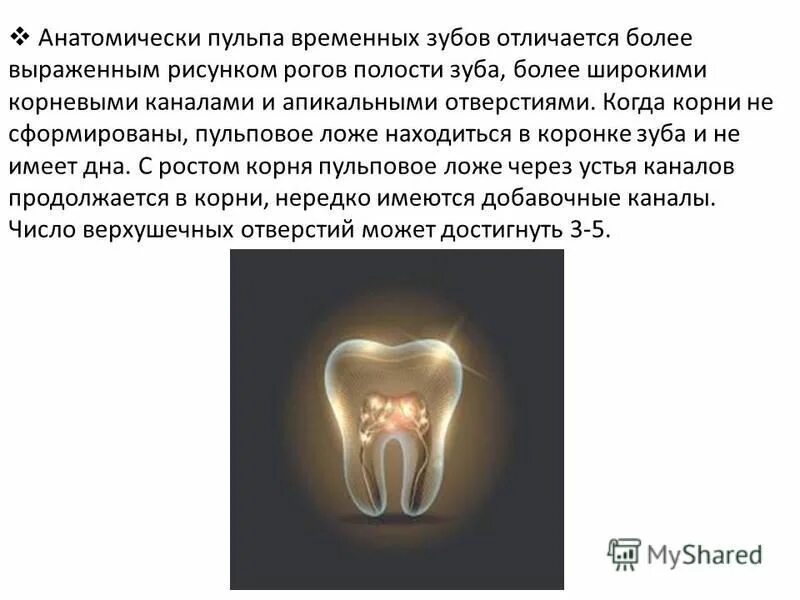 Строение пульпы молочного зуба. Анатомо-физиологические особенности периодонта. Особенности пульпы у детей. Периоды развития пульпы. Особенности пульпы у детей.