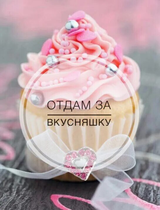 Фото отдам за вкусняшку. Отдам даром. Отдам за тысячу. Отдам за тысячу. Картинка отдам за вкусняшку.