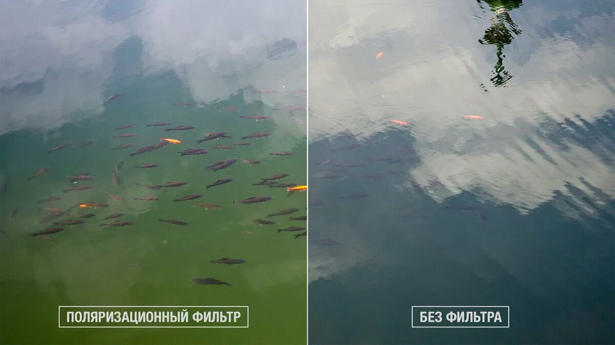 Поляризованные линзы. Поляризация света на границе двух диэлектриков. Поляризация зачем. Вид в поляризационных очках. Линзы для очков drivewear 1.