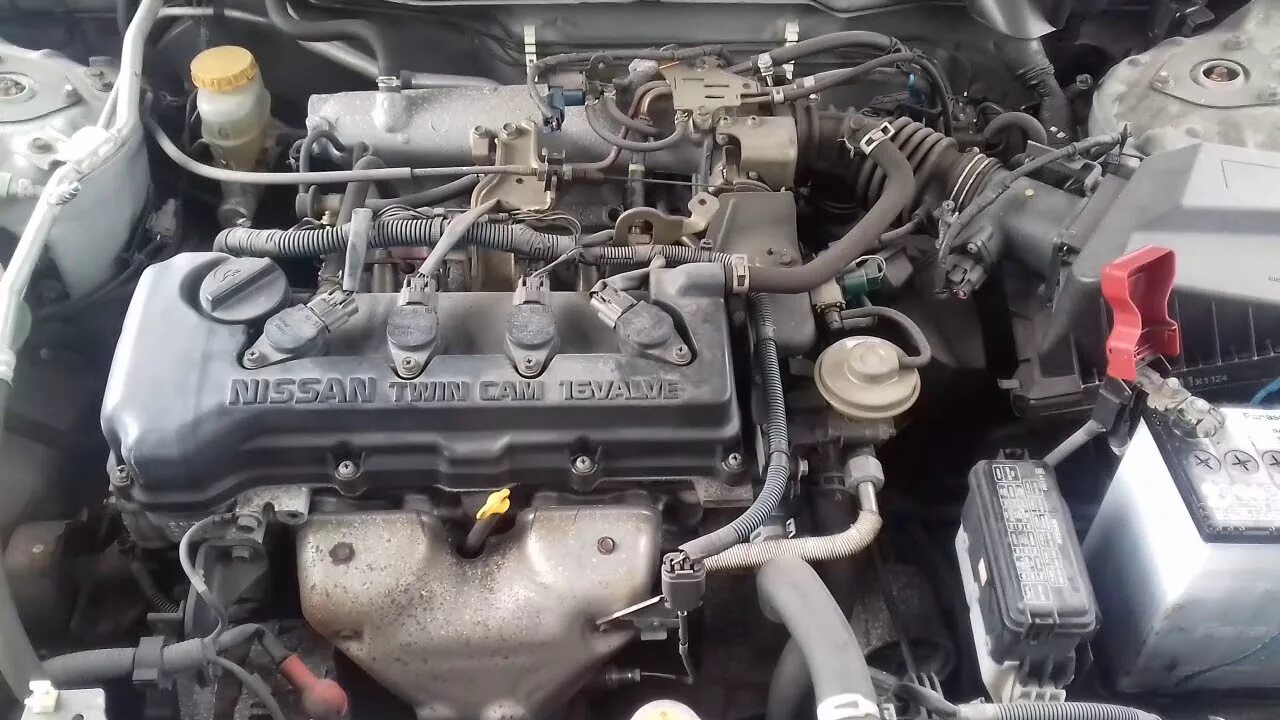 Датчик коленвала ниссан санни. Nissan sunny qg15de. ниссан санни двигатель qg15. ниссан qg15de егр. nissan sunny 1998 mator.