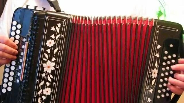 Гармонь в разборе. Виновата ли я на баяне. Виновата ли я разбор на гармони по цифрам. Гармонь рябинушка. Виновата ли я на гармошке.