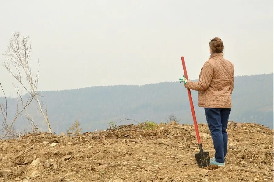 дальневосточный гектар 2022. край земли. дальневосточный гектар карта. дальневосточный гектар приморский край. земельных участков дальневосточный гектар.