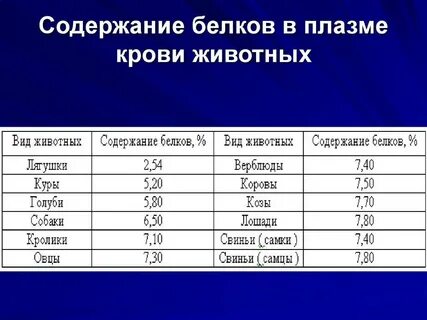 Сколько 5 белки