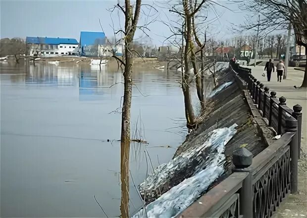 Уровень воды в днепре могилев сегодня. Днепр река в Могилеве на Фатино. Днепр Могилев.