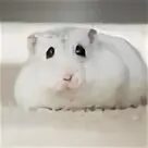 Воронеж, ул. Воронеж, ул. Деньги сразу. Салон красоты воронеж. Воронеж улица кирова 10 lexistence.