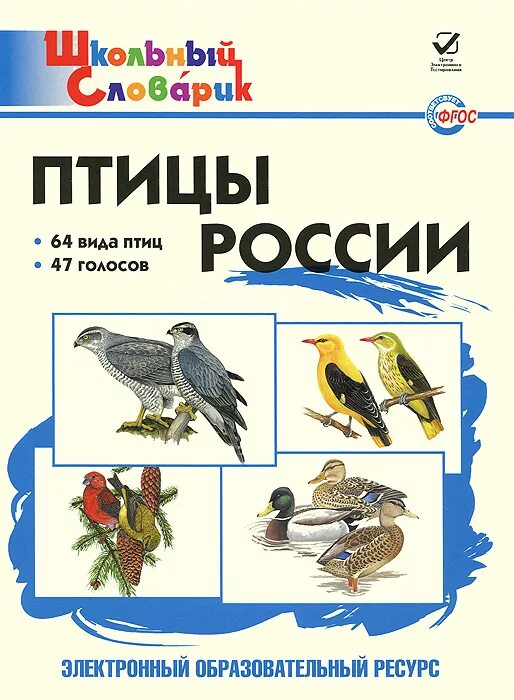 Школьный словарик птицы России. Птицы России книга. Книги о птицах для детей.